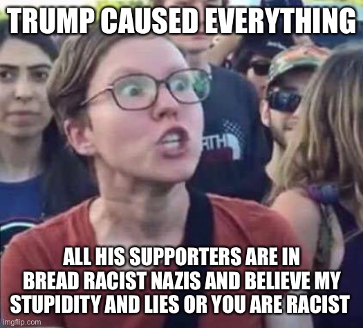Angry Liberal | TRUMP CAUSED EVERYTHING ALL HIS SUPPORTERS ARE IN BREAD RACIST NAZIS AND BELIEVE MY STUPIDITY AND LIES OR YOU ARE RACIST | image tagged in angry liberal | made w/ Imgflip meme maker