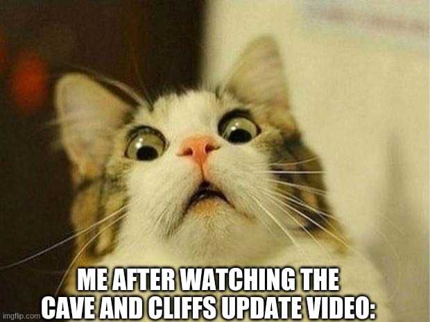 Scared Cat | ME AFTER WATCHING THE CAVE AND CLIFFS UPDATE VIDEO: | image tagged in memes,scared cat | made w/ Imgflip meme maker