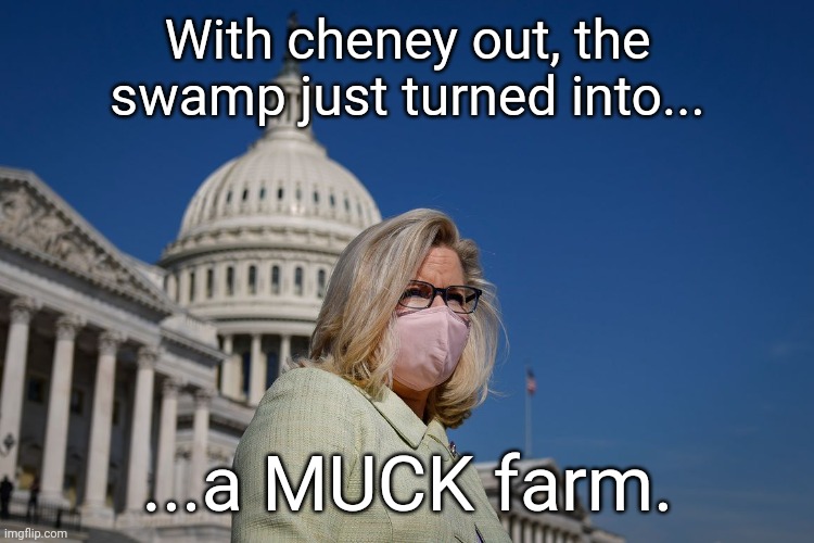 From swamp tonmuck farm, all in 1 administration. He was supposed to drain the swamp, instead he created a muck farm | With cheney out, the swamp just turned into... ...a MUCK farm. | image tagged in liz cheney | made w/ Imgflip meme maker