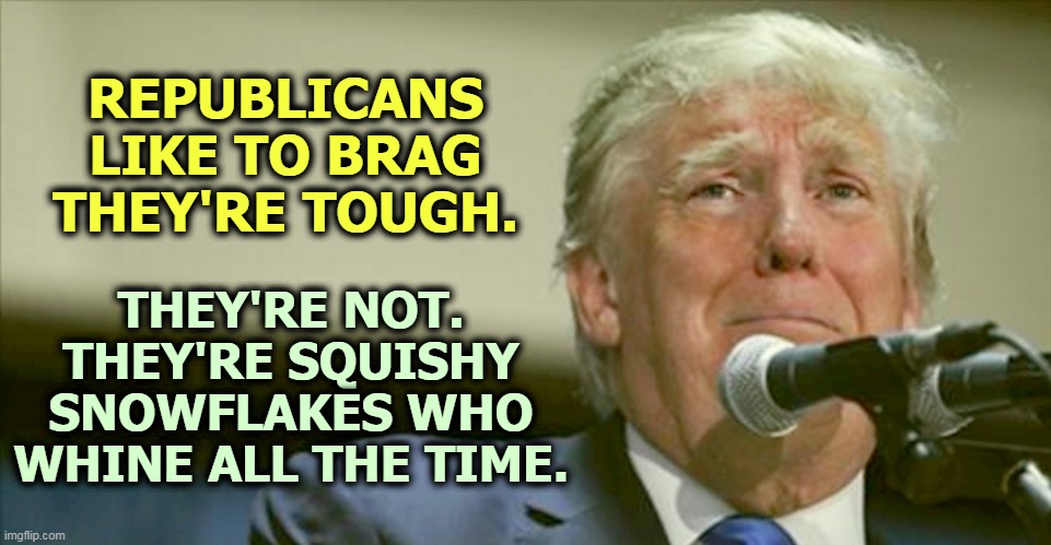 Conservatism = weakness. | REPUBLICANS LIKE TO BRAG THEY'RE TOUGH. THEY'RE NOT. THEY'RE SQUISHY SNOWFLAKES WHO WHINE ALL THE TIME. | image tagged in trump tears squish snowflake,republican,tears,conservative,weakness | made w/ Imgflip meme maker