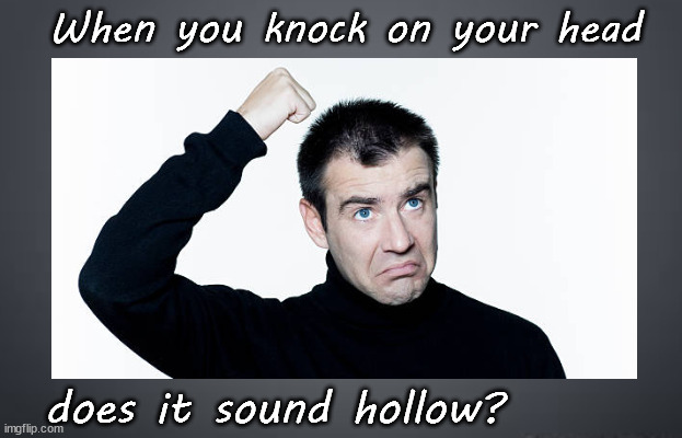 When you knock on your head, does is sound hollow | When you knock on your head; does it sound hollow? | image tagged in retort meme | made w/ Imgflip meme maker