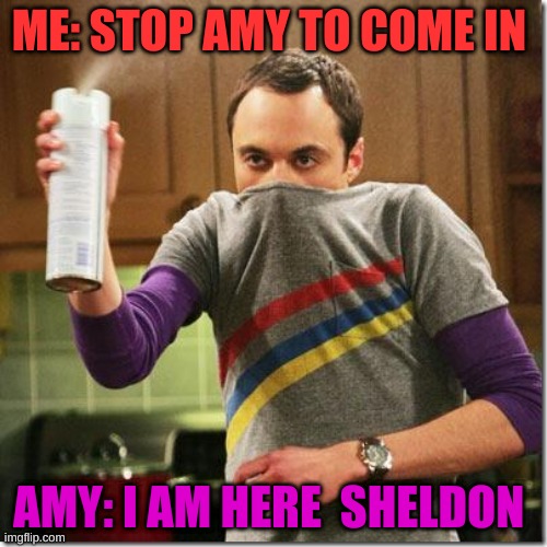 Sheldon Tries to stop Amy |  ME: STOP AMY TO COME IN; AMY: I AM HERE  SHELDON | image tagged in air freshener sheldon cooper | made w/ Imgflip meme maker