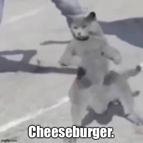Miss the old me. | Cheeseburger. | image tagged in cat nae nae | made w/ Imgflip meme maker