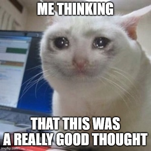 Crying cat | ME THINKING THAT THIS WAS A REALLY GOOD THOUGHT | image tagged in crying cat | made w/ Imgflip meme maker