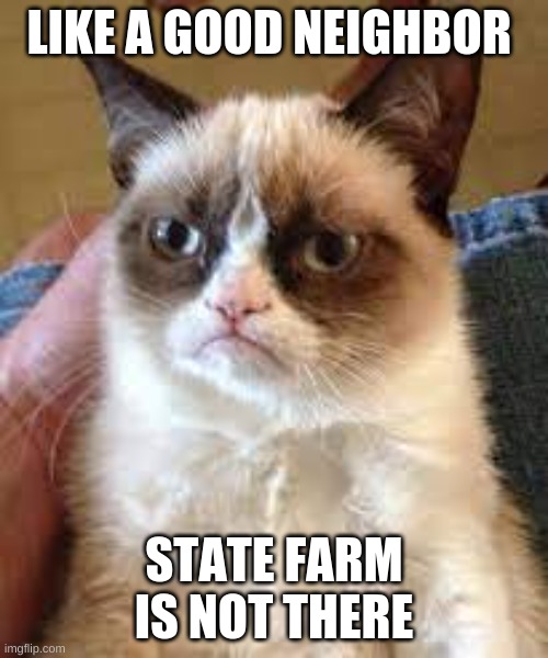 Grumpy cat state farm | LIKE A GOOD NEIGHBOR; STATE FARM IS NOT THERE | image tagged in grumpy cat,state farm | made w/ Imgflip meme maker