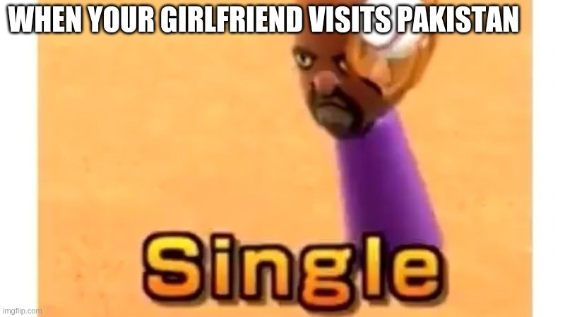 Single | WHEN YOUR GIRLFRIEND VISITS PAKISTAN | image tagged in wii sports single | made w/ Imgflip meme maker