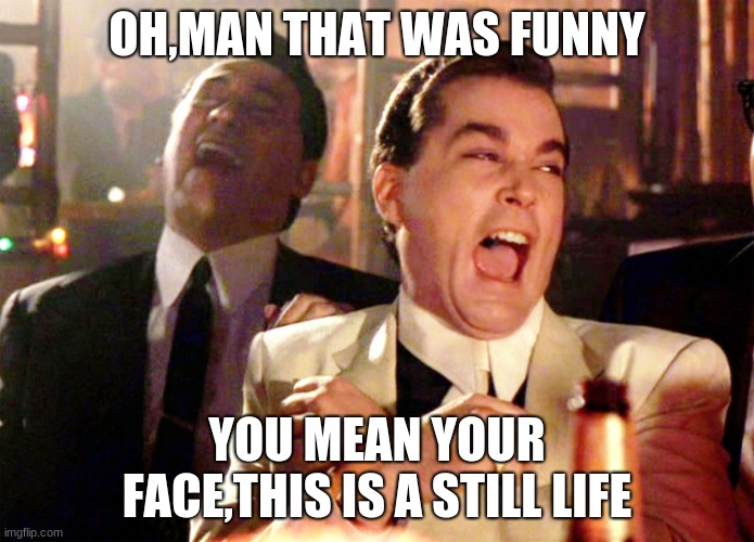 Good Fellas Hilarious | OH,MAN THAT WAS FUNNY; YOU MEAN YOUR FACE,THIS IS A STILL LIFE | image tagged in memes,good fellas hilarious | made w/ Imgflip meme maker