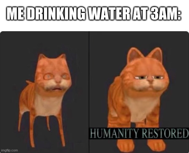 ME DRINKING WATER AT 3AM: | image tagged in memes,blank transparent square,humanity restored | made w/ Imgflip meme maker