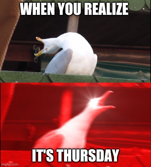 Screaming bird | WHEN YOU REALIZE; IT'S THURSDAY | image tagged in screaming bird | made w/ Imgflip meme maker