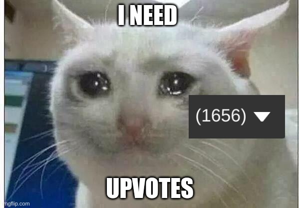 crying cat | I NEED; UPVOTES | image tagged in crying cat | made w/ Imgflip meme maker