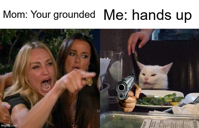 Woman Yelling At Cat | Mom: Your grounded; Me: hands up | image tagged in memes,woman yelling at cat | made w/ Imgflip meme maker