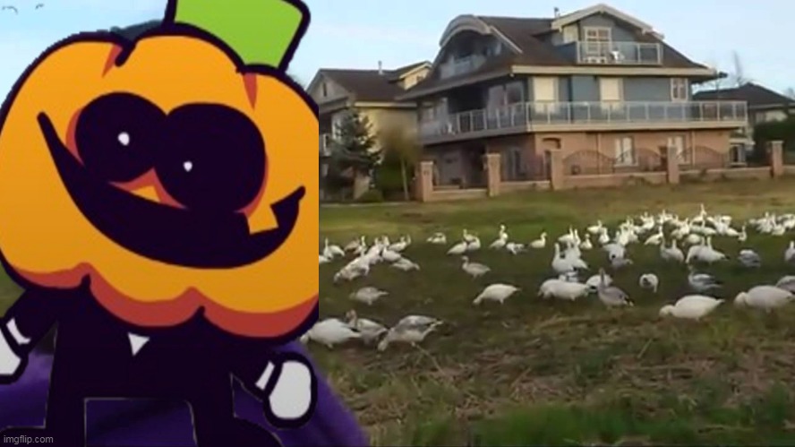 i got ispired by a video then made this | image tagged in look at all those chickens | made w/ Imgflip meme maker