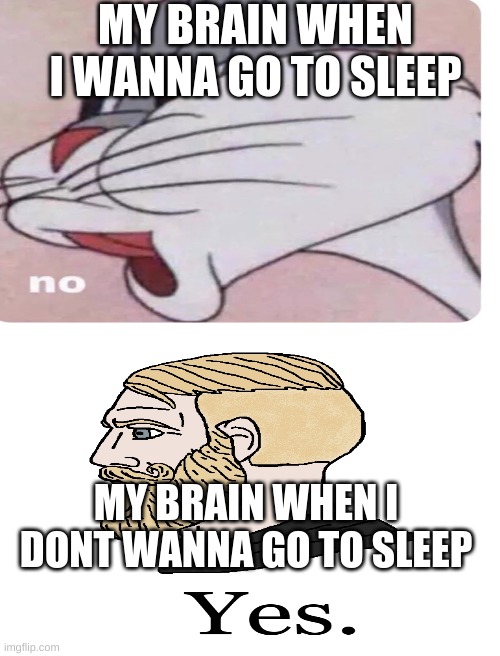 so true tho | MY BRAIN WHEN I WANNA GO TO SLEEP; MY BRAIN WHEN I DONT WANNA GO TO SLEEP | image tagged in blank white template,memes,relatable | made w/ Imgflip meme maker