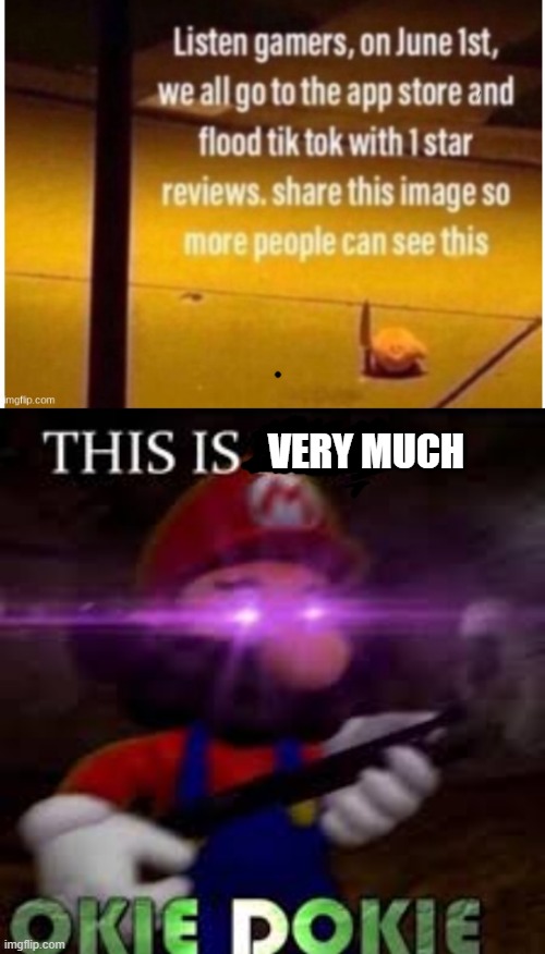 VERY MUCH | image tagged in tik tok sucks | made w/ Imgflip meme maker