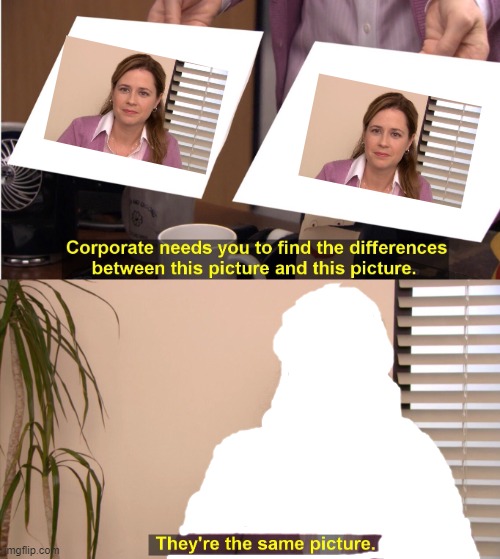 They look the same | image tagged in memes,they're the same picture | made w/ Imgflip meme maker