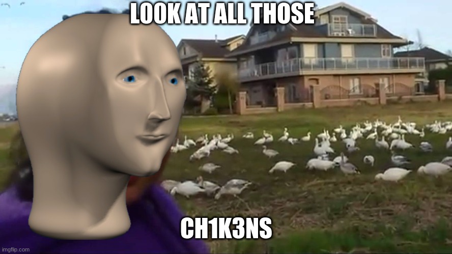 Look at All Those Chickens | L00K AT ALL THOSE; CH1K3NS | image tagged in look at all those chickens,stonks | made w/ Imgflip meme maker