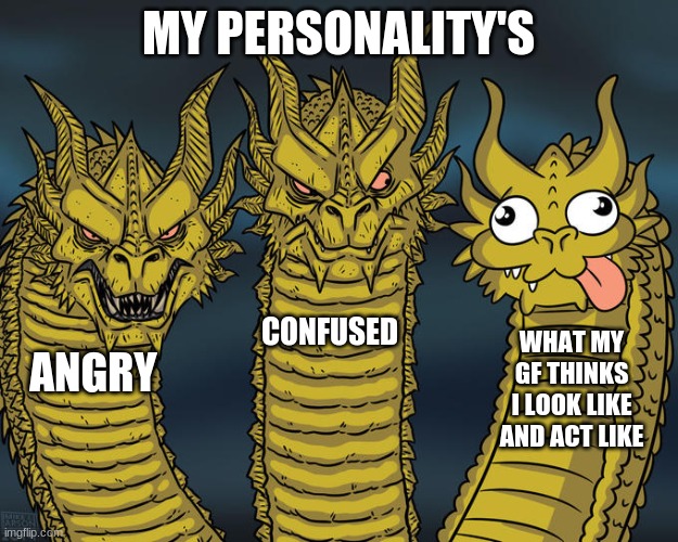 personalityyyyy's |  MY PERSONALITY'S; CONFUSED; WHAT MY GF THINKS I LOOK LIKE AND ACT LIKE; ANGRY | image tagged in three-headed dragon | made w/ Imgflip meme maker