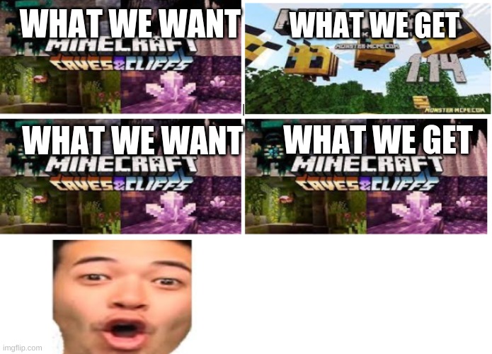 Minecraft | WHAT WE GET; WHAT WE WANT; WHAT WE GET; WHAT WE WANT | image tagged in minecraft,memes,funny | made w/ Imgflip meme maker