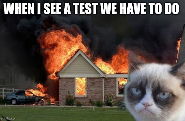 Burn Kitty | WHEN I SEE A TEST WE HAVE TO DO | image tagged in memes,burn kitty,grumpy cat | made w/ Imgflip meme maker