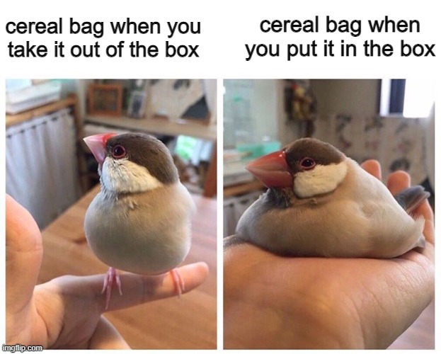 chubb | cereal bag when you put it in the box; cereal bag when you take it out of the box | image tagged in fat bird sitting down | made w/ Imgflip meme maker