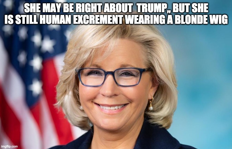 for once she's right | SHE MAY BE RIGHT ABOUT  TRUMP,, BUT SHE IS STILL HUMAN EXCREMENT WEARING A BLONDE WIG | image tagged in scumbag republicans | made w/ Imgflip meme maker
