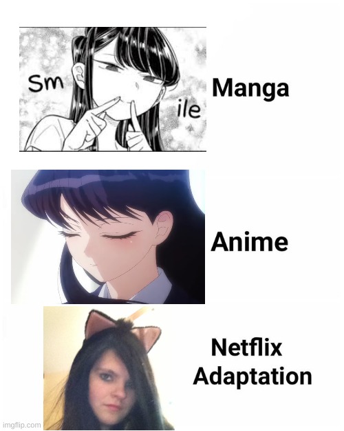 Can't wait for the anime to come out | image tagged in netflix adaptation | made w/ Imgflip meme maker