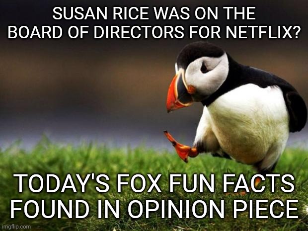 resume filler... | SUSAN RICE WAS ON THE BOARD OF DIRECTORS FOR NETFLIX? TODAY'S FOX FUN FACTS FOUND IN OPINION PIECE | image tagged in memes,unpopular opinion puffin | made w/ Imgflip meme maker
