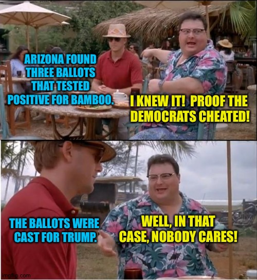 Proof | ARIZONA FOUND THREE BALLOTS THAT TESTED POSITIVE FOR BAMBOO. I KNEW IT!  PROOF THE 

DEMOCRATS CHEATED! WELL, IN THAT CASE, NOBODY CARES! THE BALLOTS WERE 
CAST FOR TRUMP. | image tagged in memes,see nobody cares | made w/ Imgflip meme maker