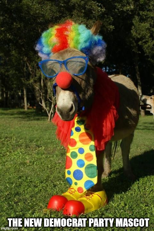 Updated to reflect the clown party | THE NEW DEMOCRAT PARTY MASCOT | image tagged in democrat | made w/ Imgflip meme maker