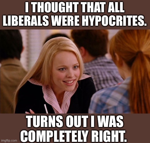 So You Agree | I THOUGHT THAT ALL LIBERALS WERE HYPOCRITES. TURNS OUT I WAS COMPLETELY RIGHT. | image tagged in so you agree | made w/ Imgflip meme maker