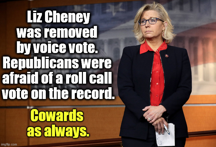 Republican snowflakes afraid of taking responsibility for their own actions. | Liz Cheney was removed 
by voice vote. 
Republicans were 
afraid of a roll call 
vote on the record. Cowards 
as always. | image tagged in republican,cowards,responsibility | made w/ Imgflip meme maker