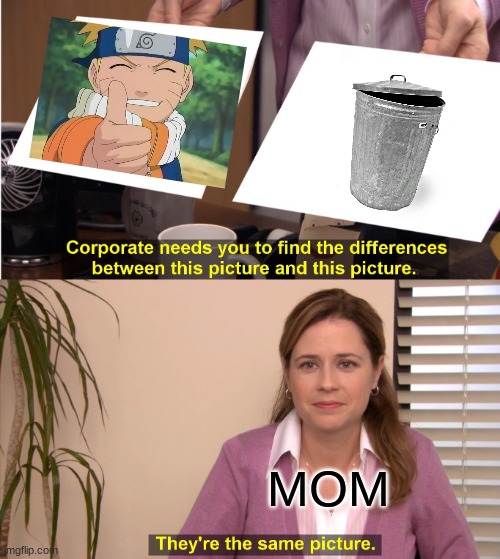 WHY MOM WHY | MOM | image tagged in memes,they're the same picture | made w/ Imgflip meme maker
