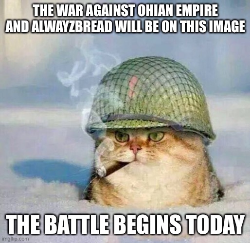 Hope your ready Ob2 | THE WAR AGAINST OHIAN EMPIRE AND ALWAYZBREAD WILL BE ON THIS IMAGE; THE BATTLE BEGINS TODAY | image tagged in war cat | made w/ Imgflip meme maker