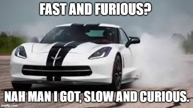 fast and furious joke | FAST AND FURIOUS? NAH MAN I GOT, SLOW AND CURIOUS. | image tagged in they see me rolling,never gonna give you up,never gonna let you down,rickrolling | made w/ Imgflip meme maker