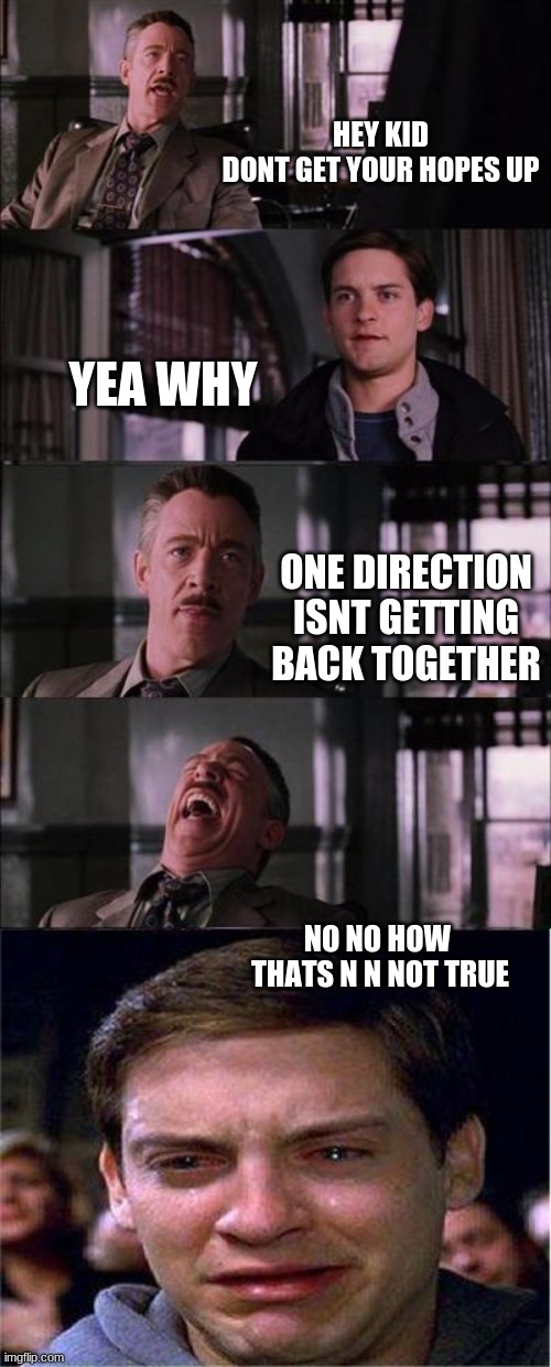 lol not getting back together | HEY KID
DONT GET YOUR HOPES UP; YEA WHY; ONE DIRECTION ISNT GETTING BACK TOGETHER; NO NO HOW  THATS N N NOT TRUE | image tagged in memes,peter parker cry | made w/ Imgflip meme maker