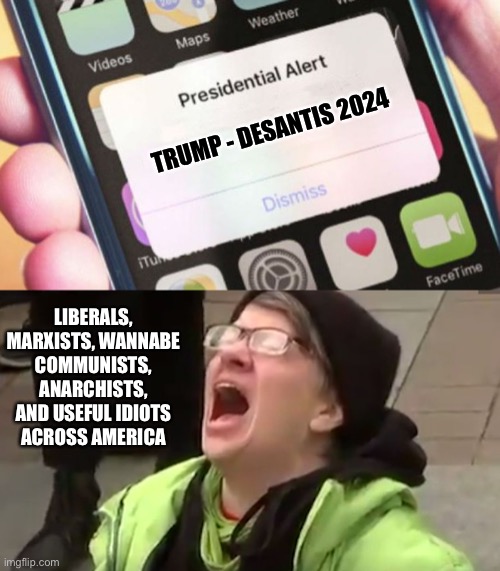 TRUMP - DESANTIS 2024 LIBERALS, MARXISTS, WANNABE COMMUNISTS, ANARCHISTS, AND USEFUL IDIOTS ACROSS AMERICA | image tagged in memes,presidential alert,screaming liberal | made w/ Imgflip meme maker