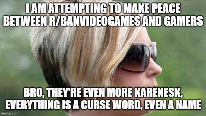 Karen | I AM ATTEMPTING TO MAKE PEACE BETWEEN R/BANVIDEOGAMES AND GAMERS; BRO, THEY'RE EVEN MORE KARENESK, EVERYTHING IS A CURSE WORD, EVEN A NAME | image tagged in karen | made w/ Imgflip meme maker