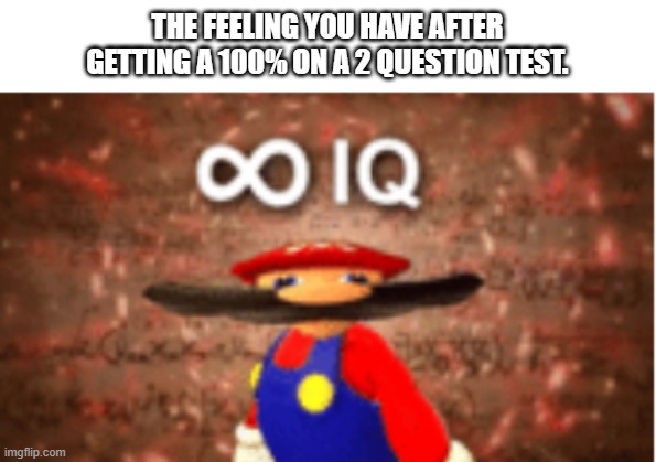 Smort | THE FEELING YOU HAVE AFTER GETTING A 100% ON A 2 QUESTION TEST. | image tagged in infinite iq | made w/ Imgflip meme maker