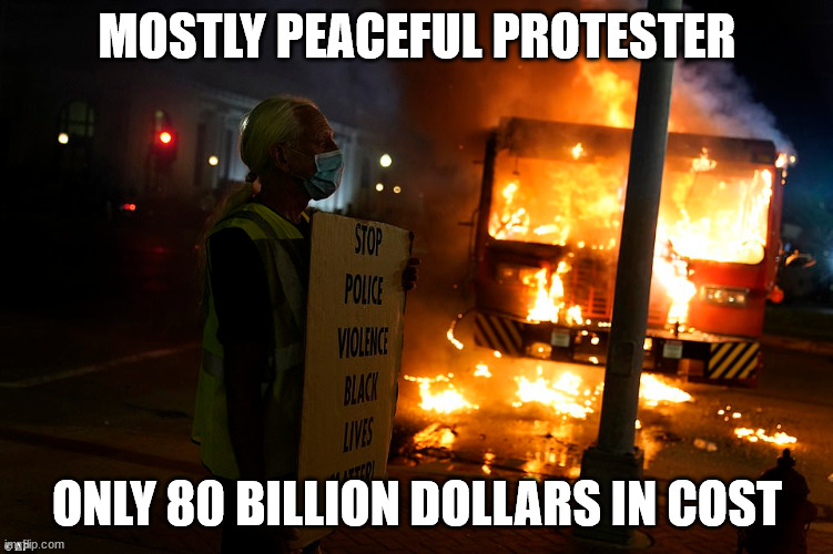 MOSTLY PEACEFUL PROTESTER ONLY 80 BILLION DOLLARS IN COST | made w/ Imgflip meme maker