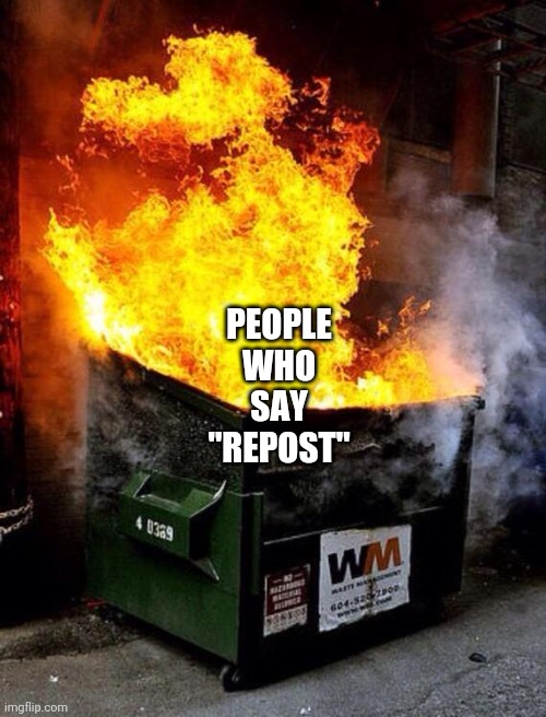 Dumpster Fire | PEOPLE WHO SAY "REPOST" | image tagged in dumpster fire | made w/ Imgflip meme maker