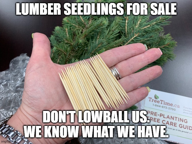 Lumber Seedlings | LUMBER SEEDLINGS FOR SALE; DON'T LOWBALL US. WE KNOW WHAT WE HAVE. | image tagged in trees,funny memes,lumber prices,nature | made w/ Imgflip meme maker