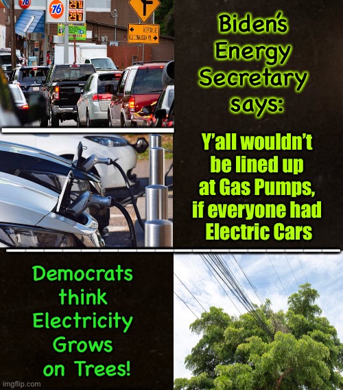 Generating Stations Generate with Fossil Fuels | Biden’s 
Energy 
Secretary 
says:; —————; Y’all wouldn’t 
be lined up 
at Gas Pumps, 
if everyone had 
Electric Cars; ——————————————————; Democrats 
think 
Electricity 
Grows 
on Trees! | image tagged in america first,dems hate america,usa was energy independent,biden sucks,new green hoax,ok  lets use nuclear | made w/ Imgflip meme maker