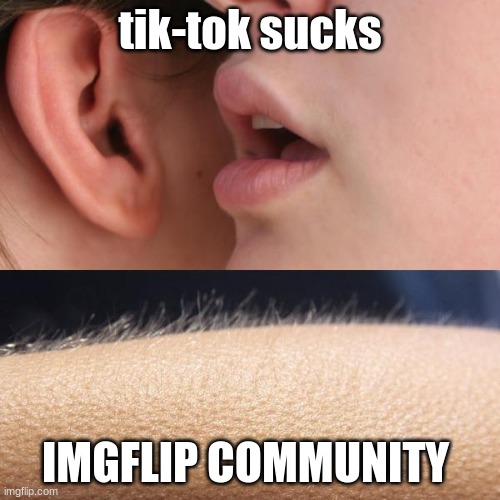 Whisper and Goosebumps | tik-tok sucks; IMGFLIP COMMUNITY | image tagged in whisper and goosebumps | made w/ Imgflip meme maker