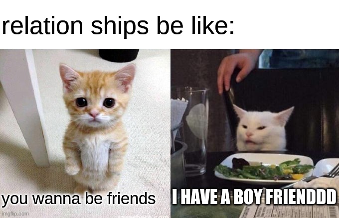 like | relation ships be like:; I HAVE A BOY FRIENDDD; you wanna be friends | image tagged in the truth | made w/ Imgflip meme maker