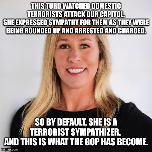 Marjorie Taylor Greene | THIS TURD WATCHED DOMESTIC TERRORISTS ATTACK OUR CAPITOL.
SHE EXPRESSED SYMPATHY FOR THEM AS THEY WERE BEING ROUNDED UP AND ARRESTED AND CHARGED. SO BY DEFAULT, SHE IS A TERRORIST SYMPATHIZER. 
AND THIS IS WHAT THE GOP HAS BECOME. | image tagged in marjorie taylor greene | made w/ Imgflip meme maker