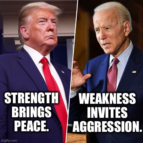 So simple, even a Democrat can understand | WEAKNESS INVITES AGGRESSION. STRENGTH BRINGS PEACE. | image tagged in trump biden | made w/ Imgflip meme maker