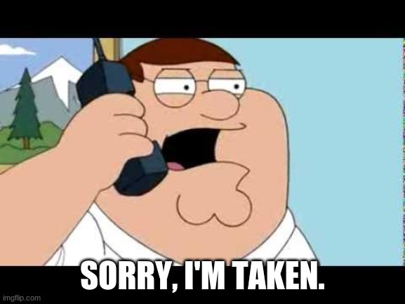 Family Guy Taken Parody | SORRY, I'M TAKEN. | image tagged in family guy taken parody | made w/ Imgflip meme maker