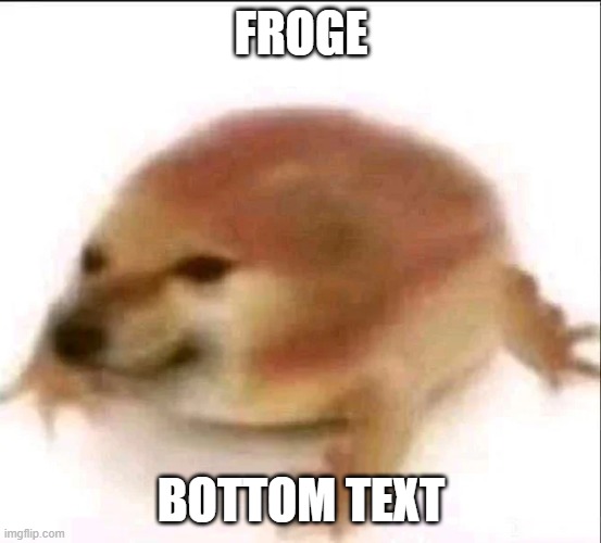 froge | FROGE; BOTTOM TEXT | image tagged in doge,cheems,frog,kermit the frog,buff doge vs cheems,memes | made w/ Imgflip meme maker