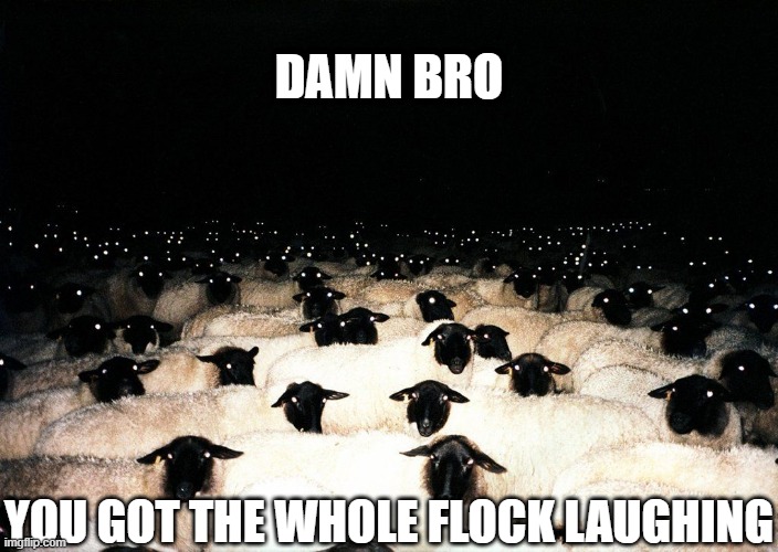 sheep | DAMN BRO; YOU GOT THE WHOLE FLOCK LAUGHING | image tagged in memes,damn bro you got the whole squad laughing,you got the whole squad laughing,sheep,animals | made w/ Imgflip meme maker