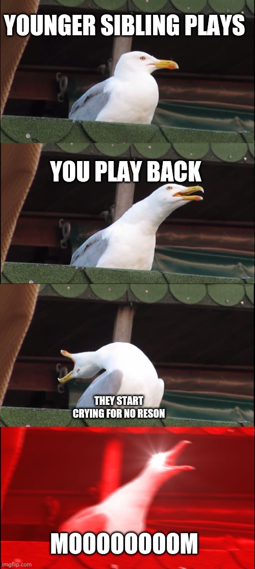 Why I never bond with my younger brother | YOUNGER SIBLING PLAYS; YOU PLAY BACK; THEY START CRYING FOR NO RESON; MOOOOOOOOM | image tagged in memes,inhaling seagull | made w/ Imgflip meme maker